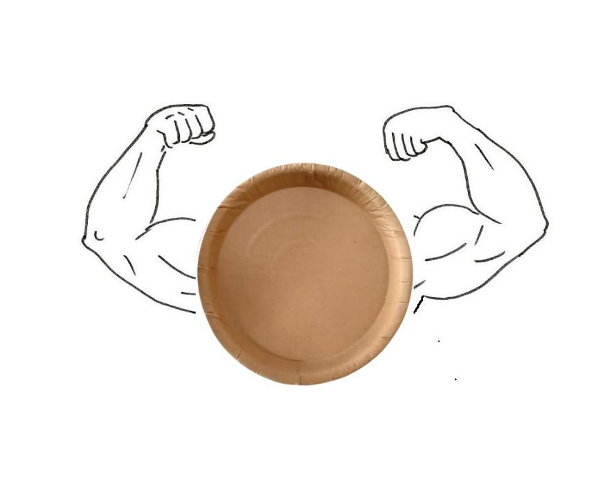 Recyclable Plate